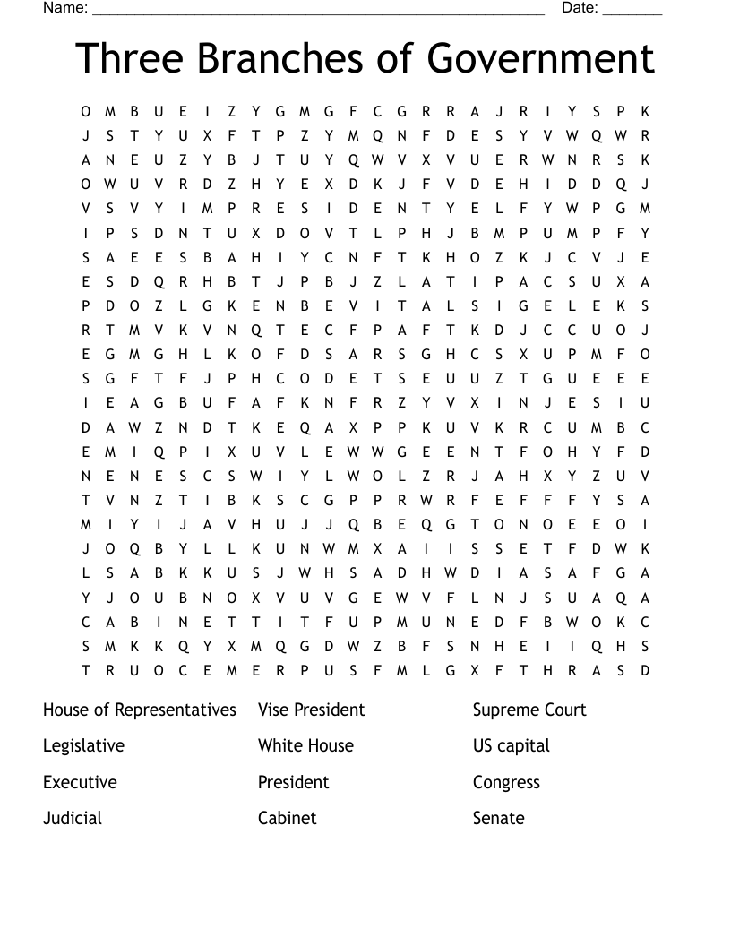 Three Branches of Government Word Search