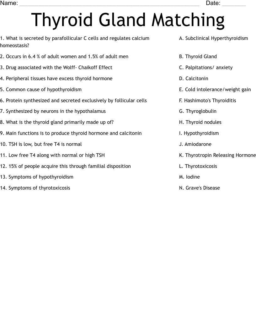 Thyroid Gland Matching Worksheet