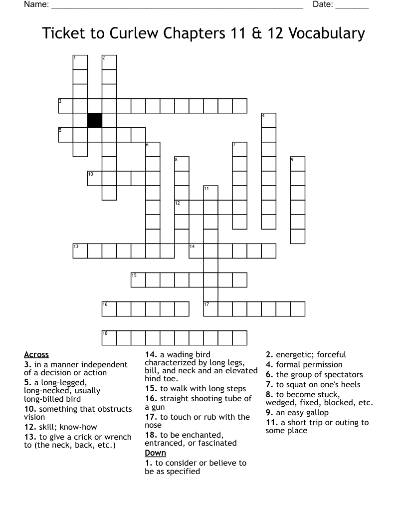 Ticket to Curlew Chapters 11 & 12 Vocabulary Crossword