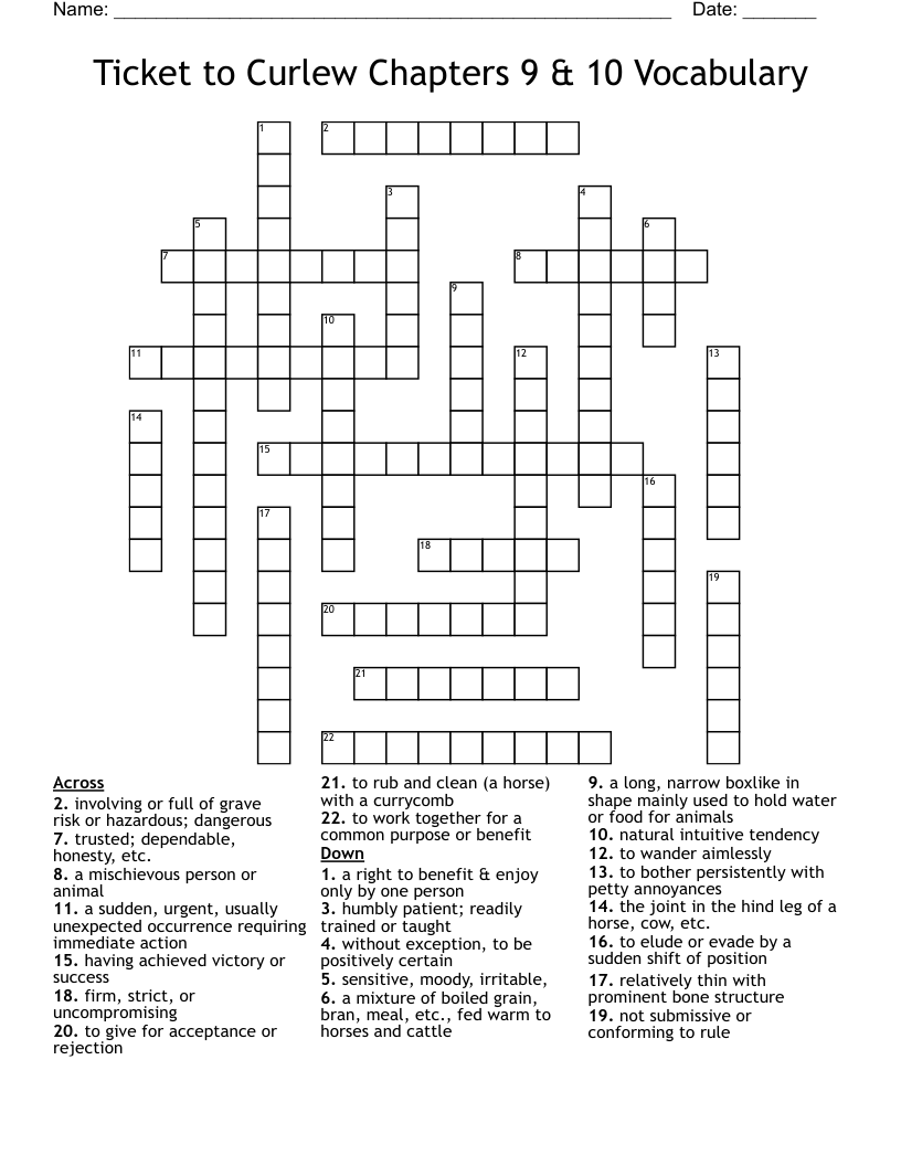 Ticket to Curlew Chapters 9 & 10 Vocabulary Crossword