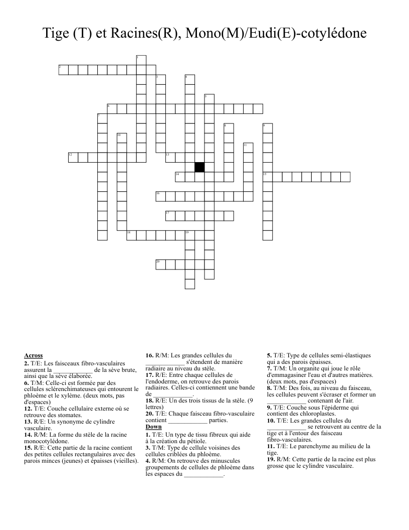 Tige (T) et Racines(R), Mono(M)/Eudi(E)-cotylédone Crossword