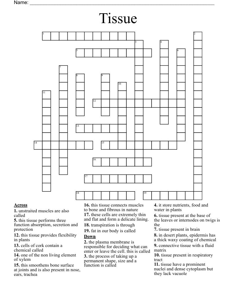 Tissue Crossword
