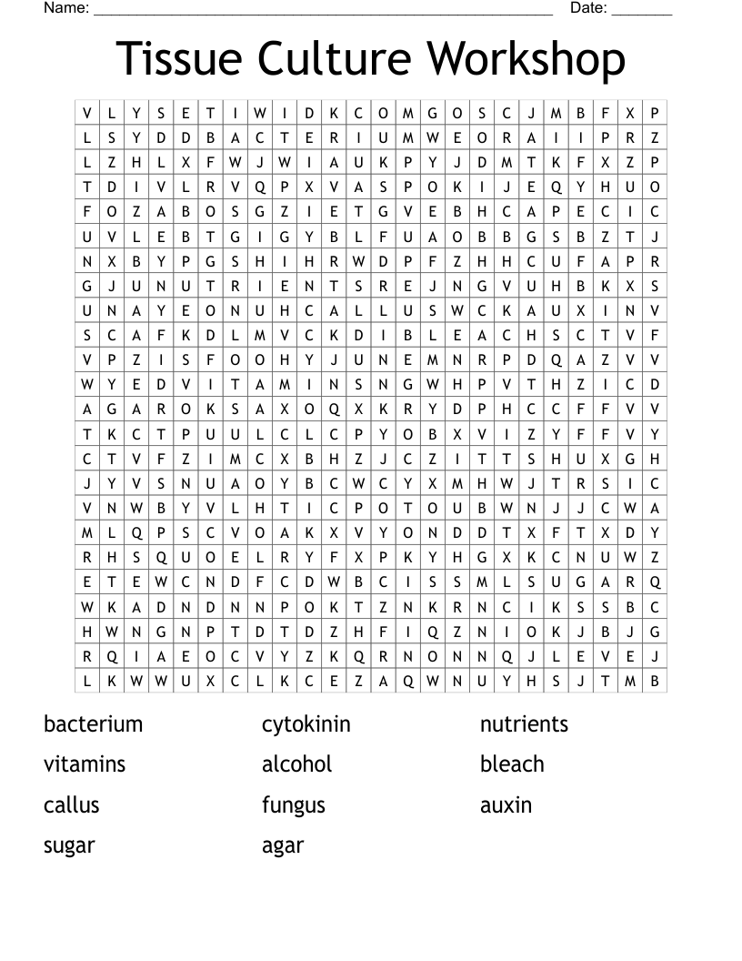 Tissue Culture Workshop Word Search