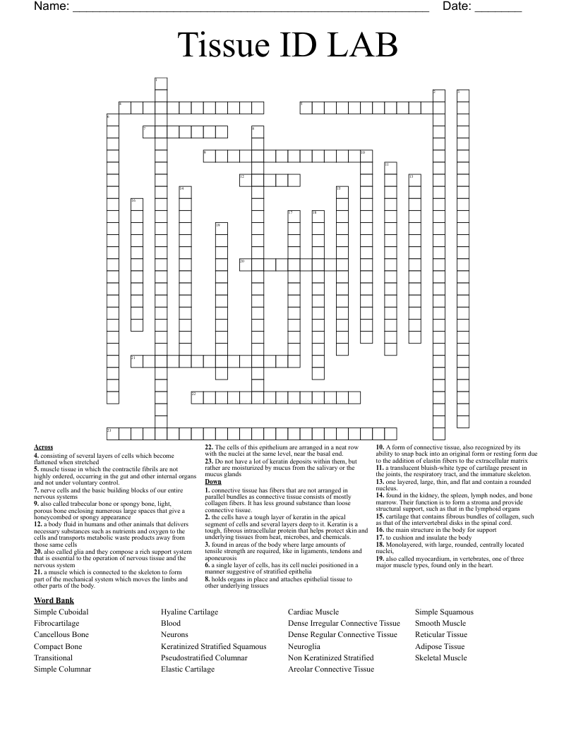 Tissue ID LAB Crossword