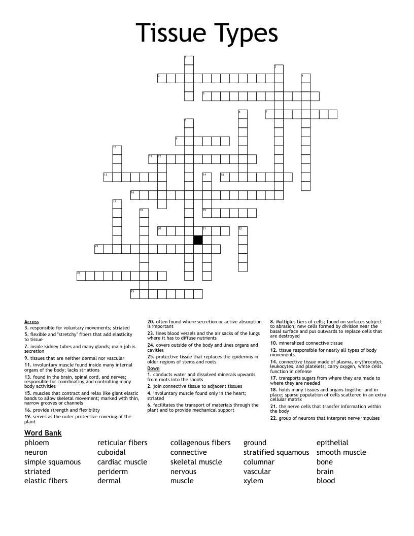 Tissue Types  Crossword