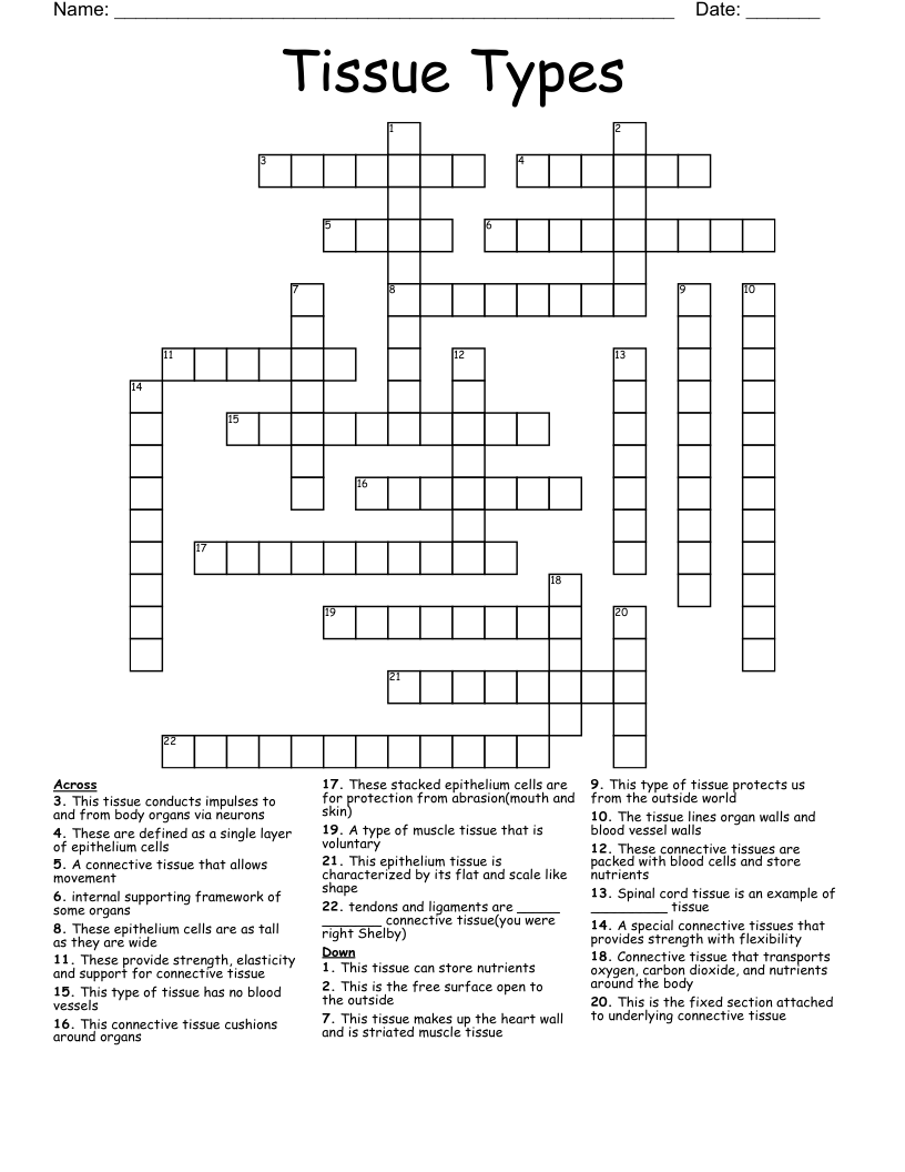 Tissue Types  Crossword