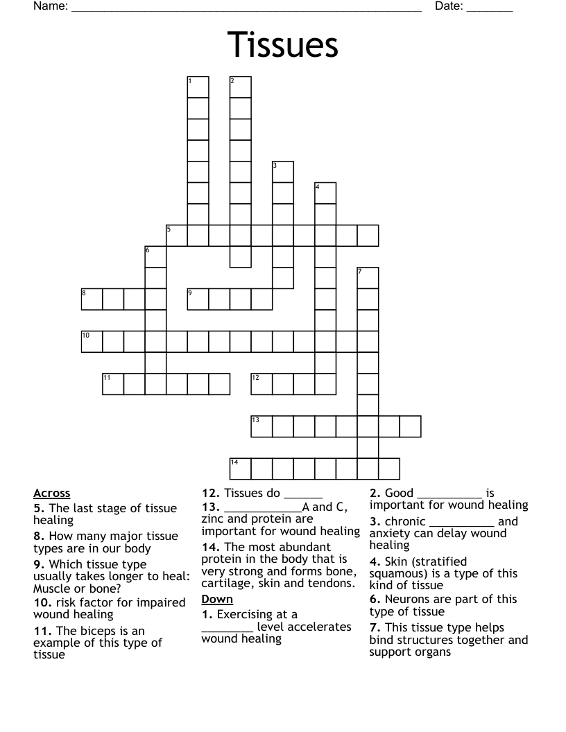 Tissues Crossword
