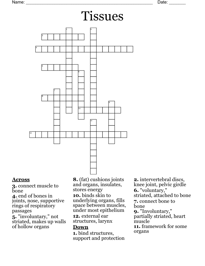 Tissues Crossword