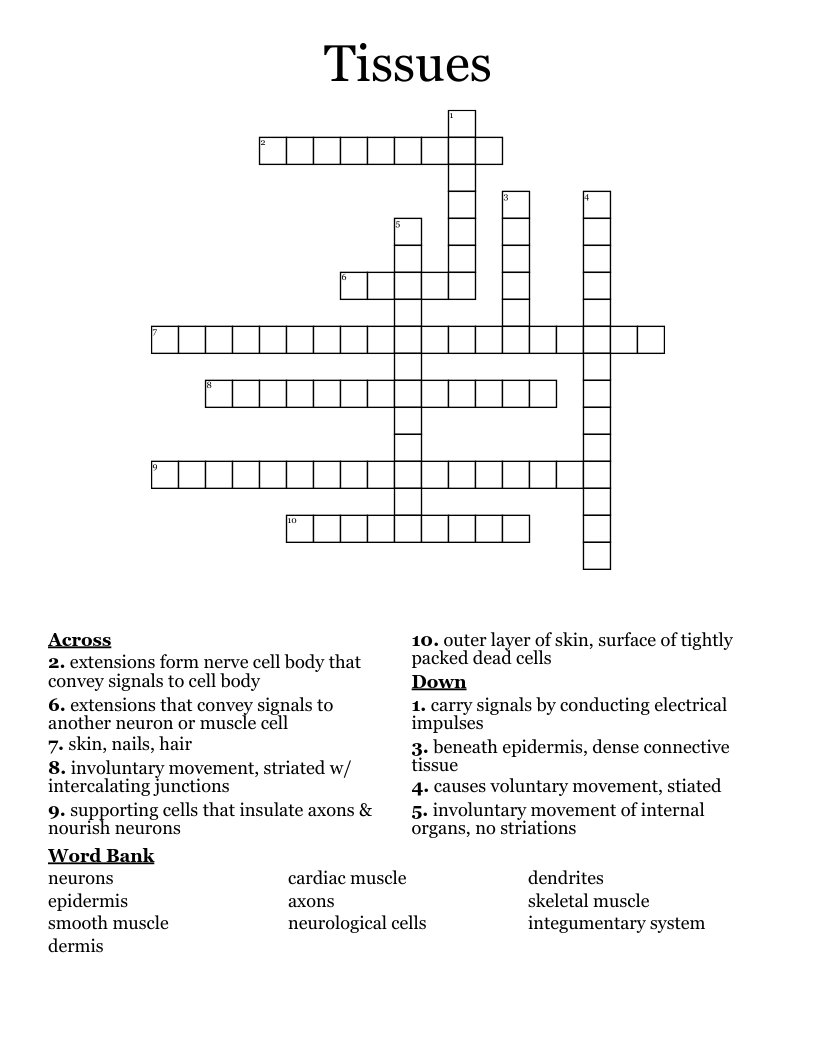 Tissues Crossword