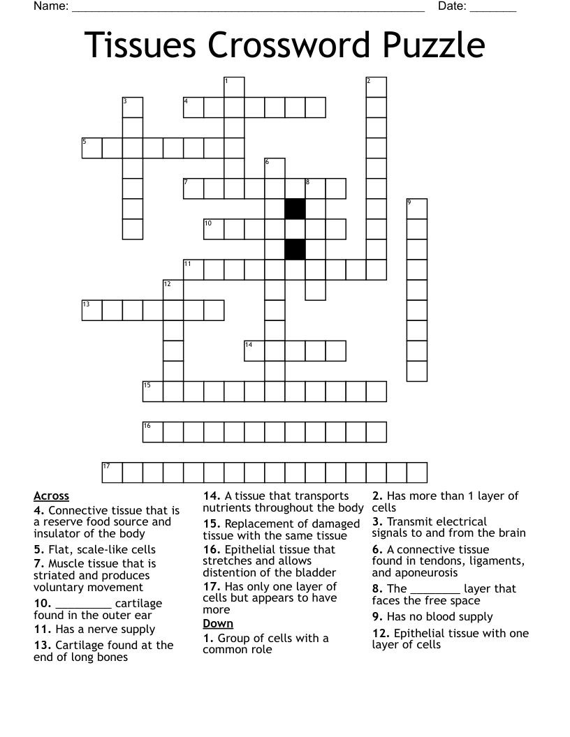 Tissues Crossword Puzzle