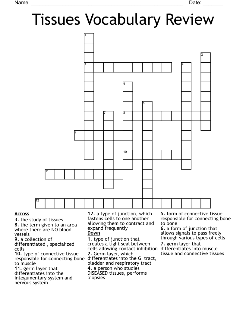 Tissues Vocabulary Review Crossword