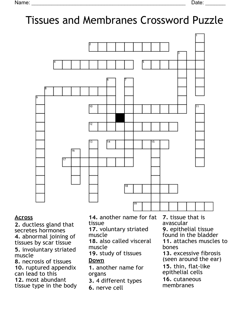 Tissues and Membranes Crossword Puzzle