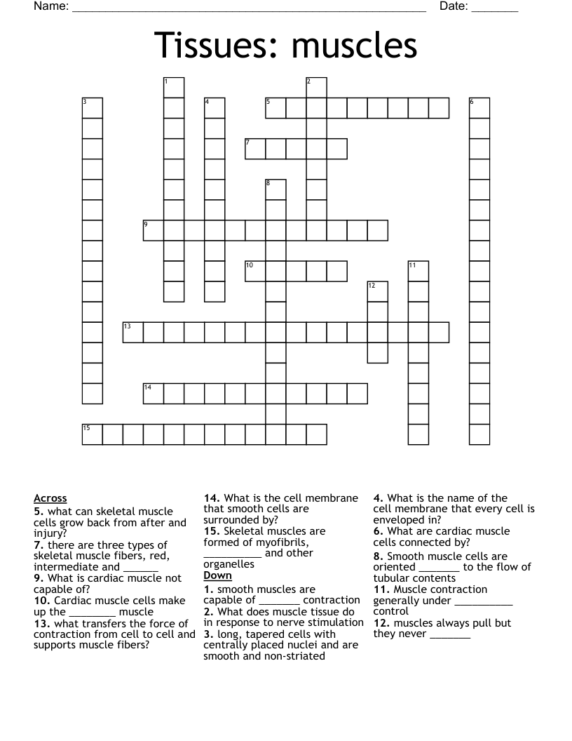 Tissues: muscles Crossword