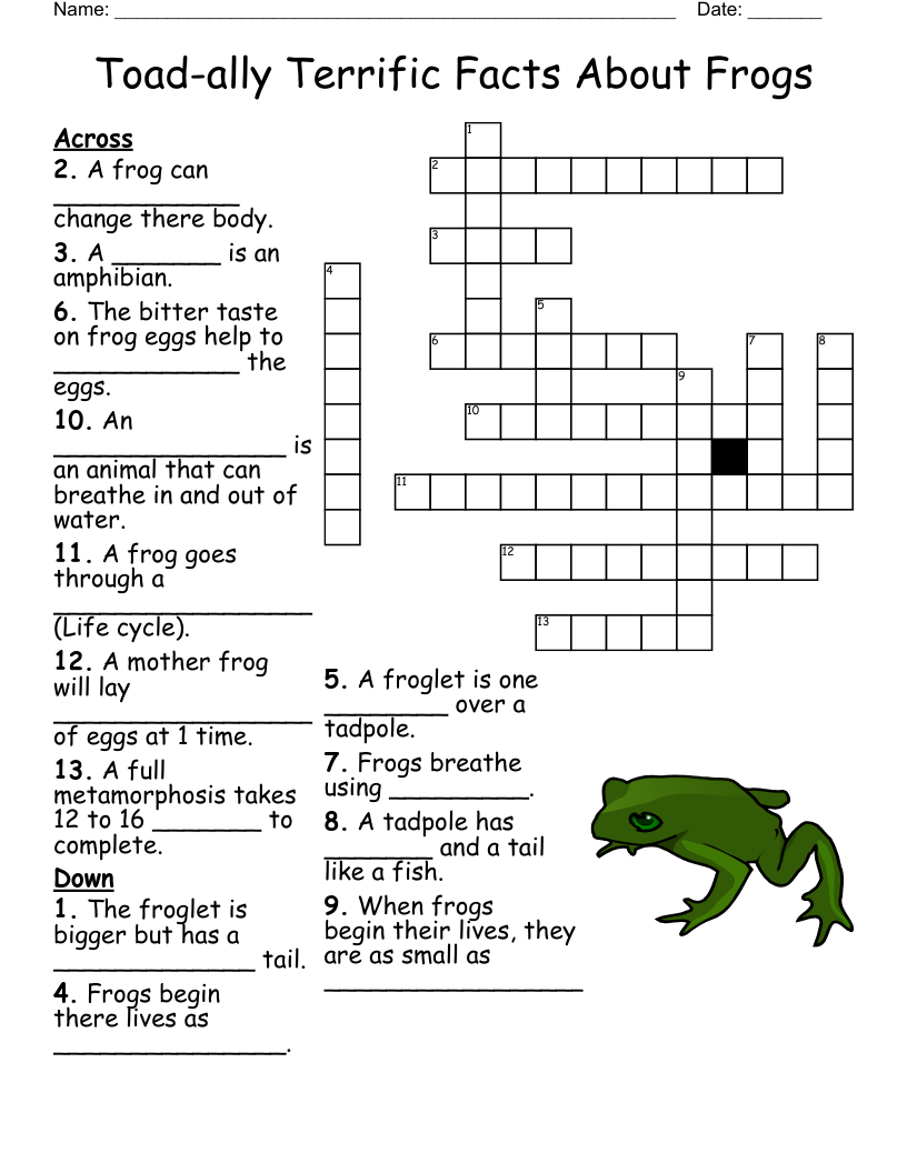 Toad-ally Terrific Facts About Frogs Crossword