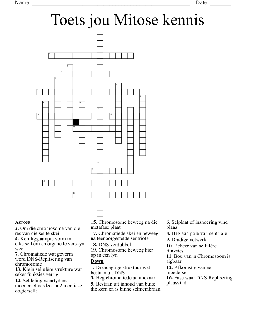 Toets jou Mitose kennis Crossword