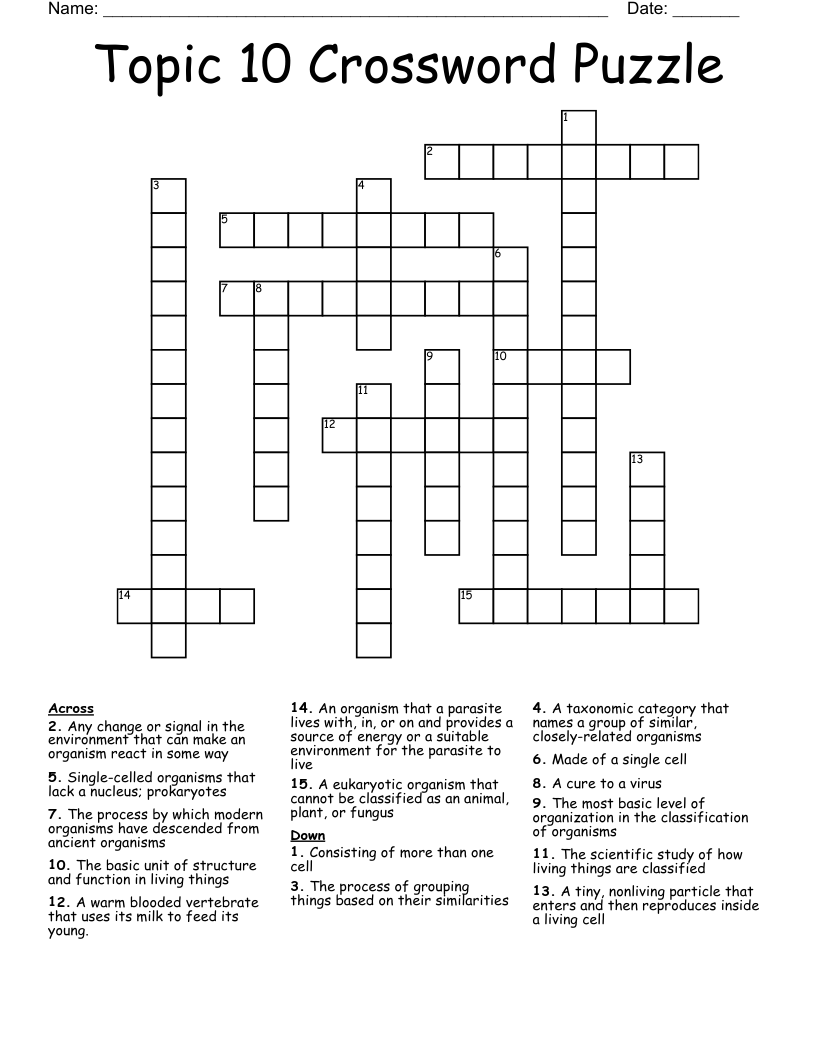 Topic 10 Crossword Puzzle 
