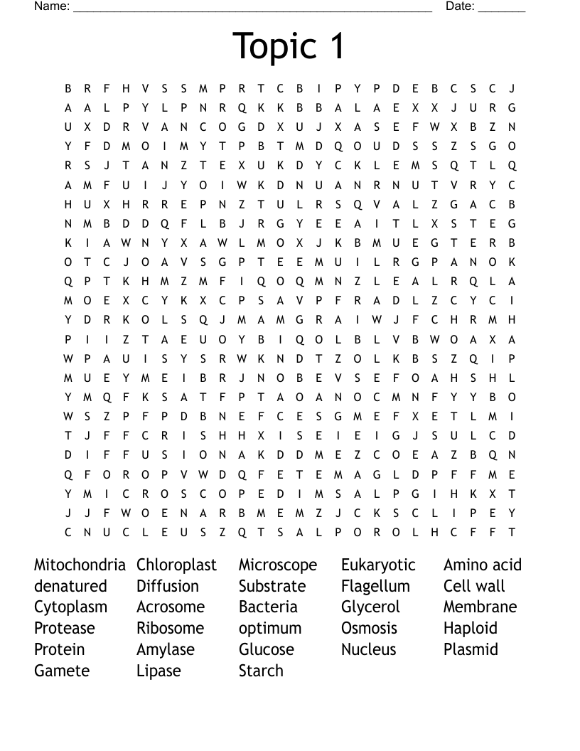Topic 1 Word Search