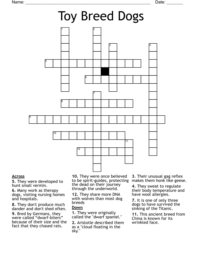 Toy Breed Dogs Crossword