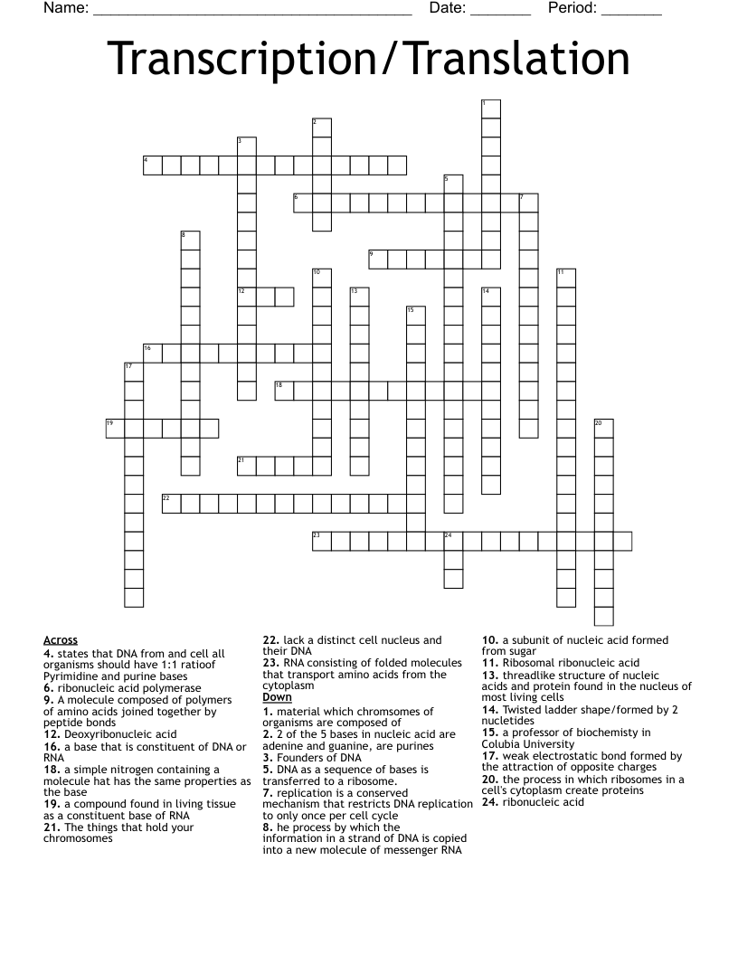 Transcription/Translation Crossword