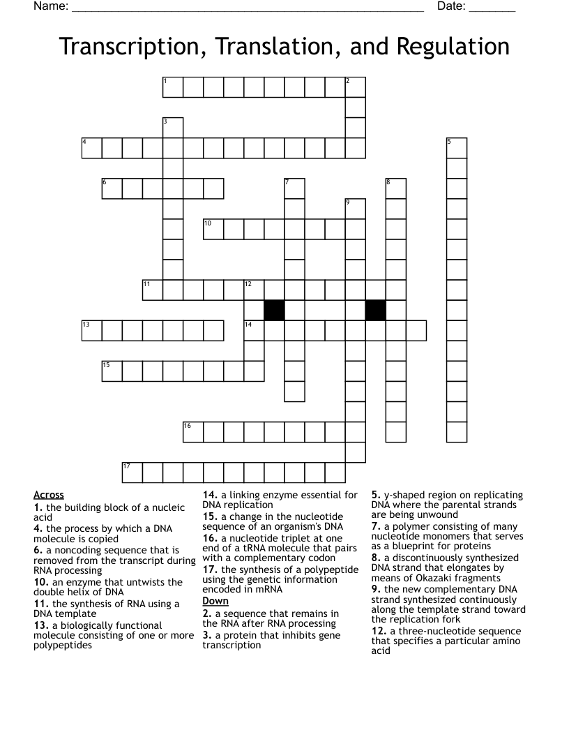 Transcription, Translation, and Regulation Crossword