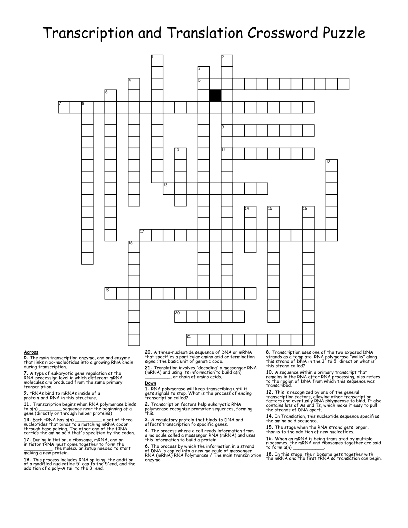 Transcription and Translation Crossword Puzzle