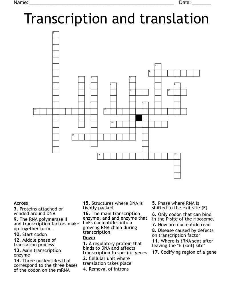 Transcription and translation Crossword
