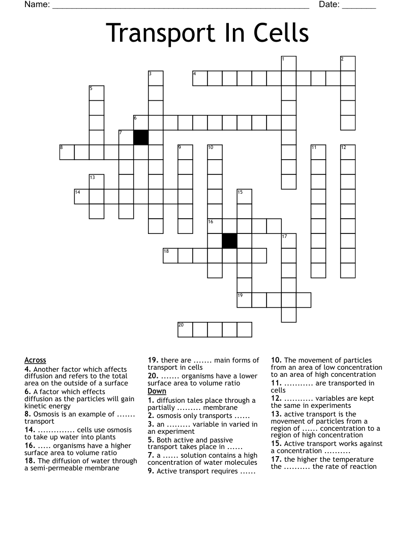 Transport In Cells Crossword