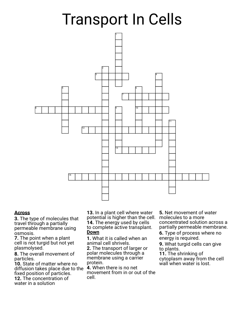 Transport In Cells Crossword