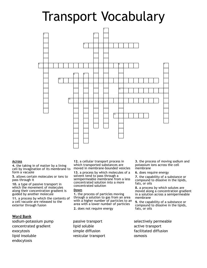 Transport Vocabulary Crossword