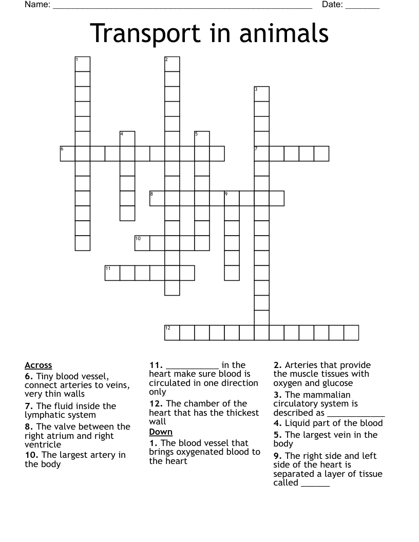 Transport in animals Crossword