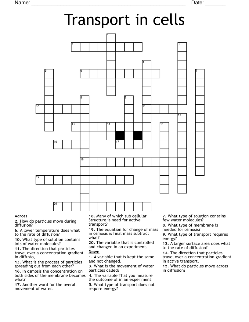 Transport in cells Crossword