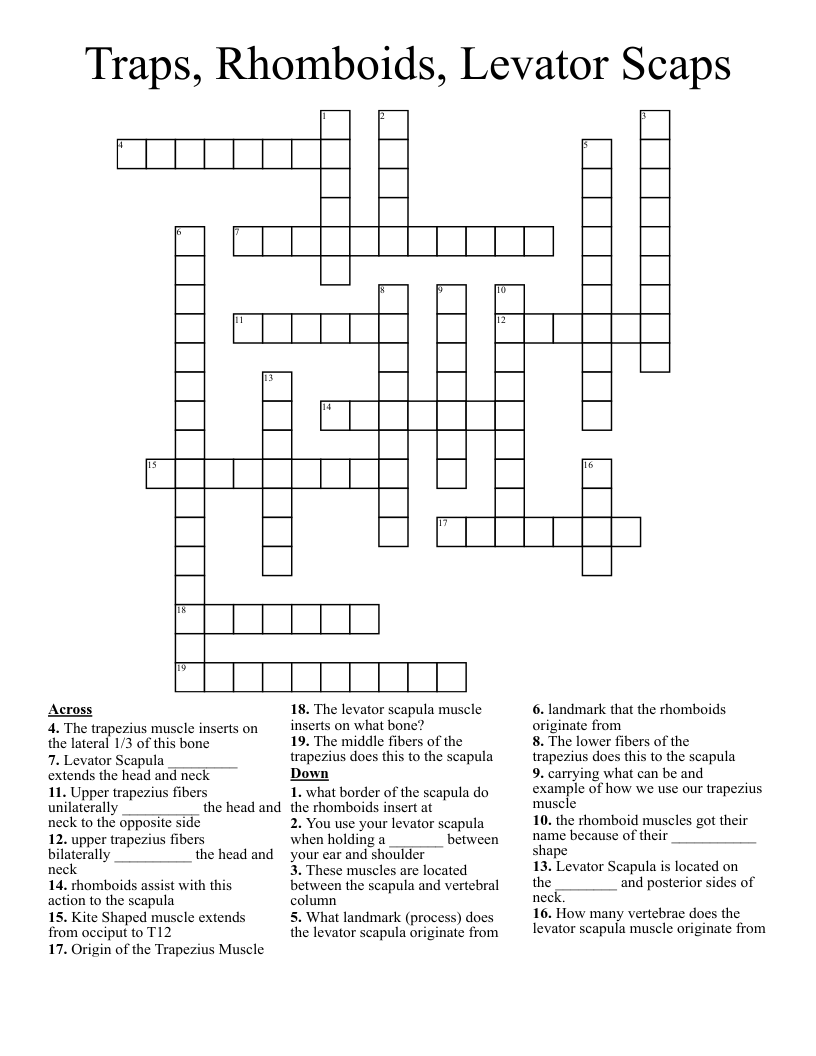 Traps, Rhomboids, Levator Scaps Crossword