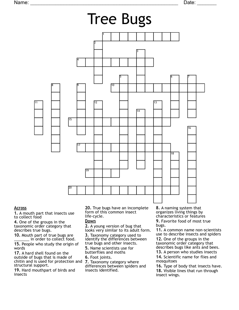 Tree Bugs Crossword