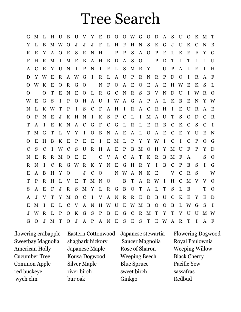 Tree Search Word Search