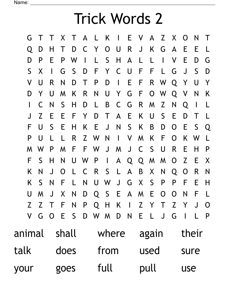 Trick Words 2 Word Search