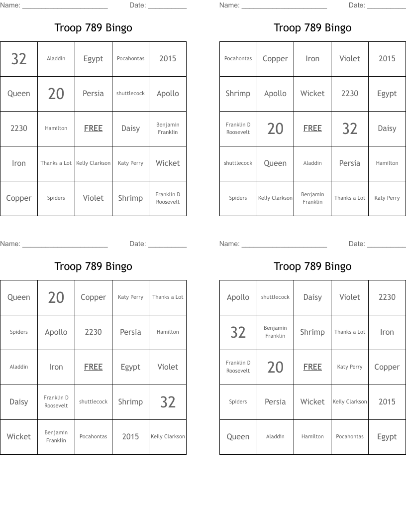 Troop 789 Bingo