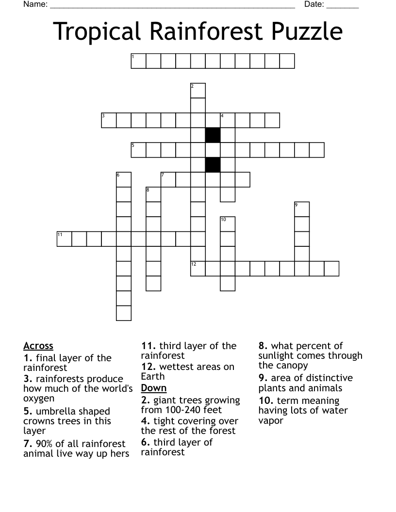 Tropical Rainforest Puzzle Crossword