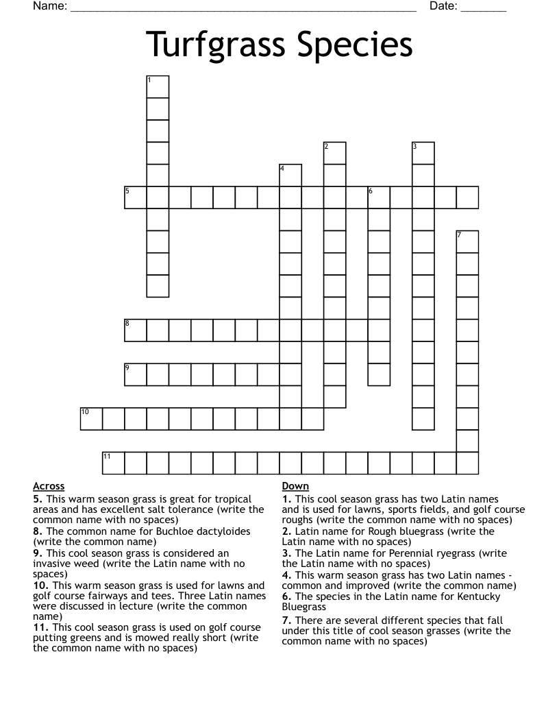 Turfgrass Species Crossword