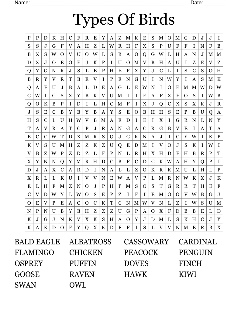 Types Of Birds Word Search
