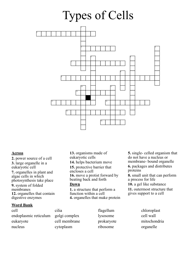 Types of Cells Crossword