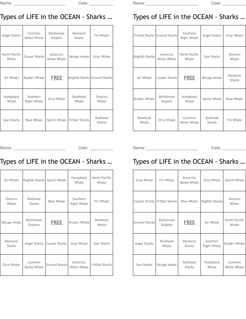 Types of LIFE in the OCEAN - Sharks and Whales Bingo Cards
