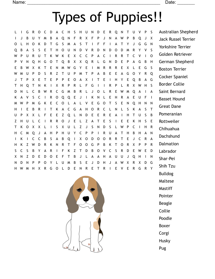 Types of Puppies!! Word Search