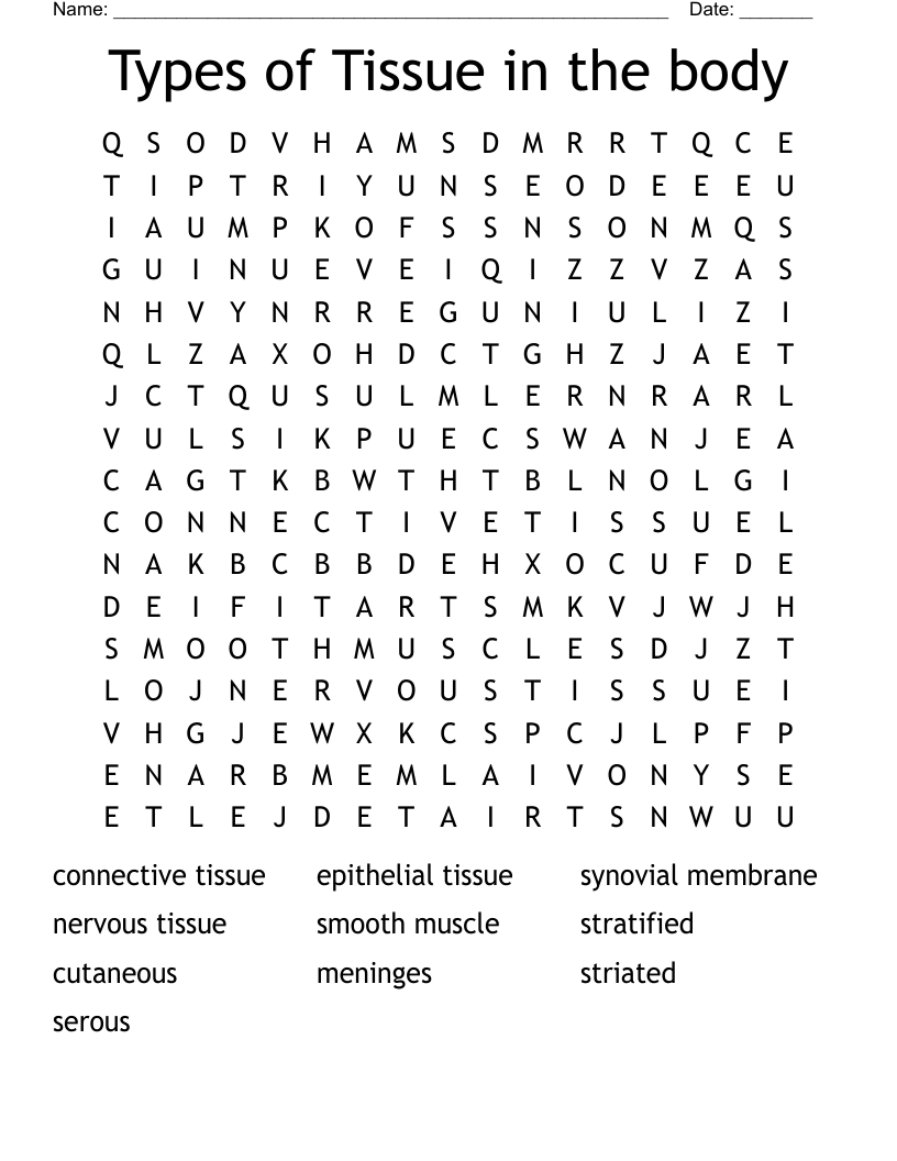 Types of Tissue in the body Word Search
