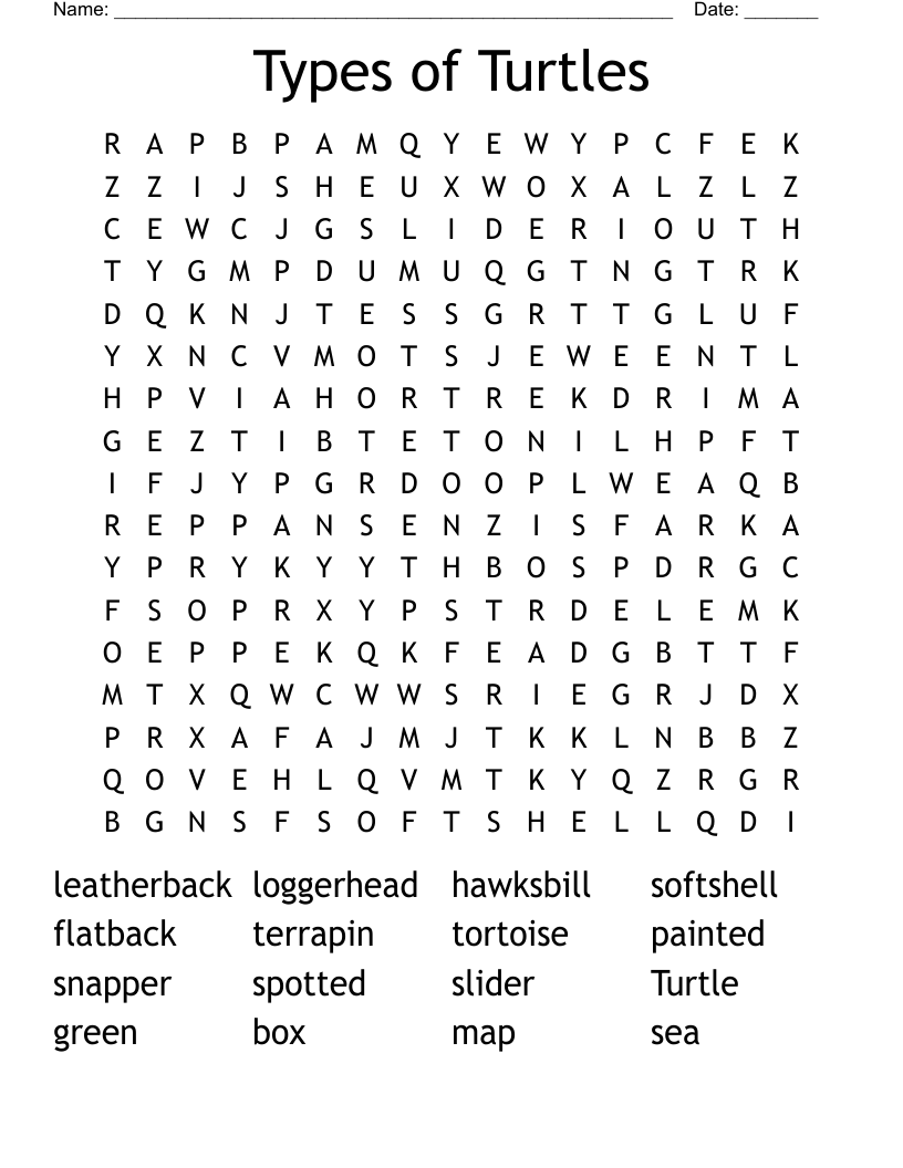 Types of Turtles Word Search