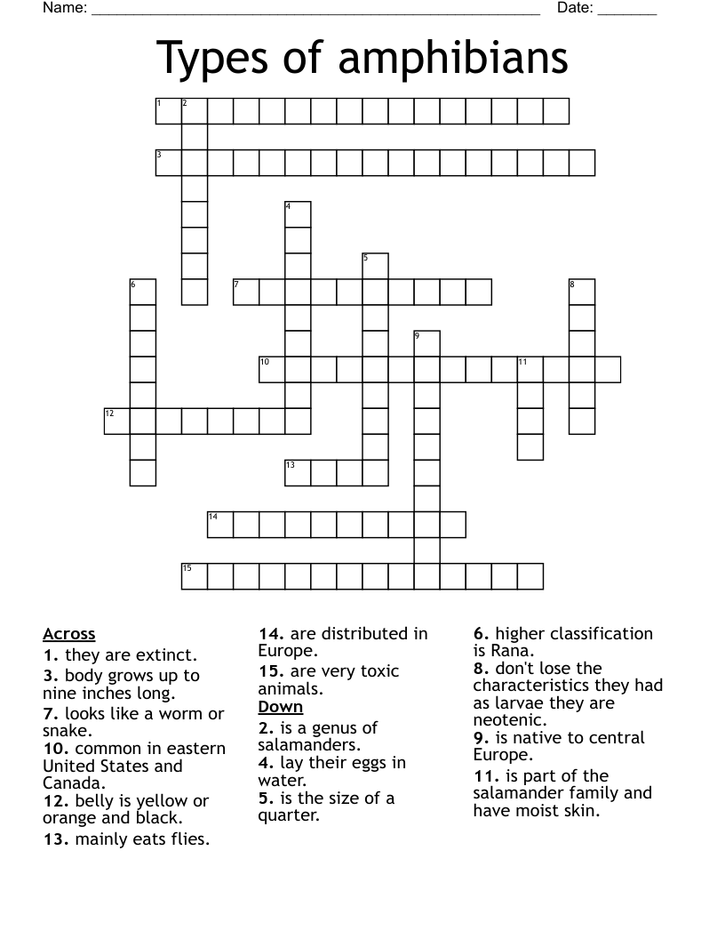 Types of amphibians  Crossword