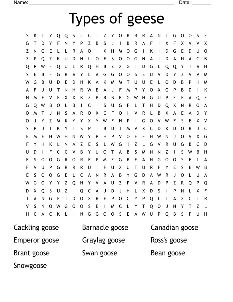 Types of geese Word Search