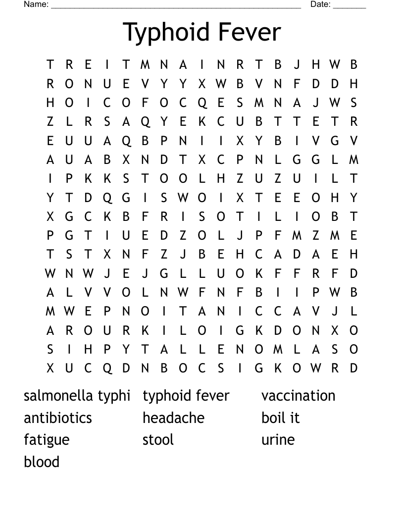 Typhoid Fever Word Search