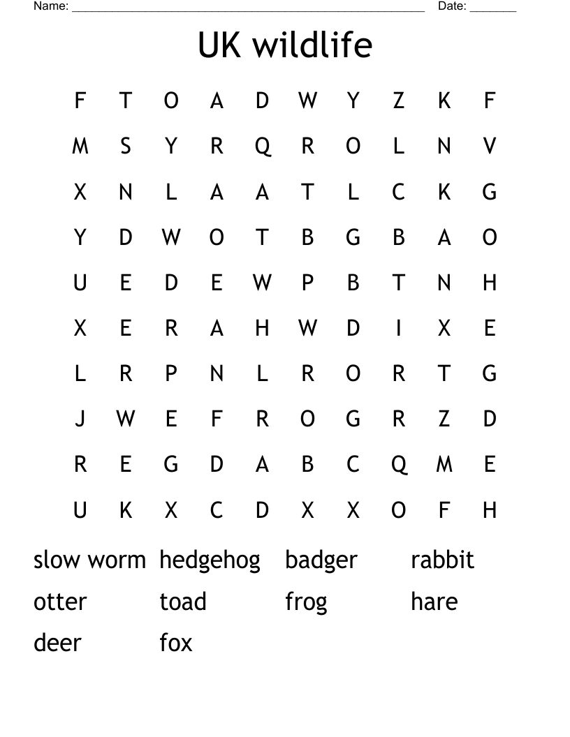 UK wildlife Word Search