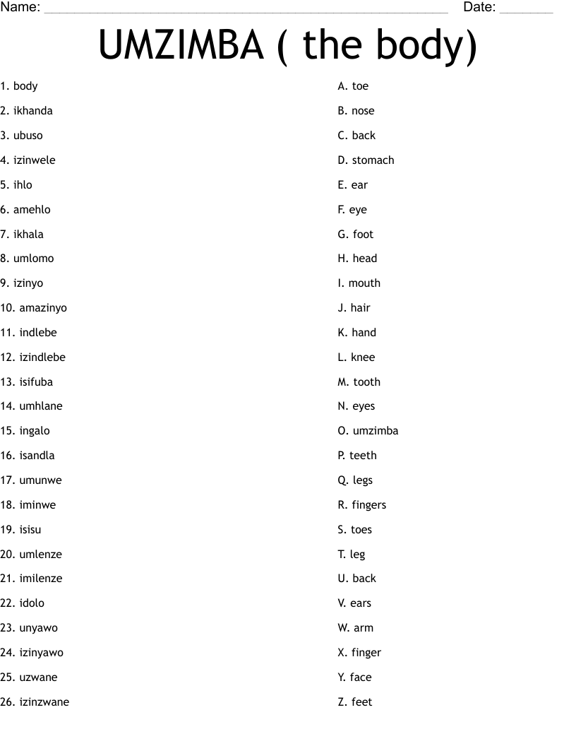 UMZIMBA ( the body) Worksheet