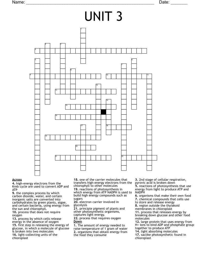UNIT 3 Crossword